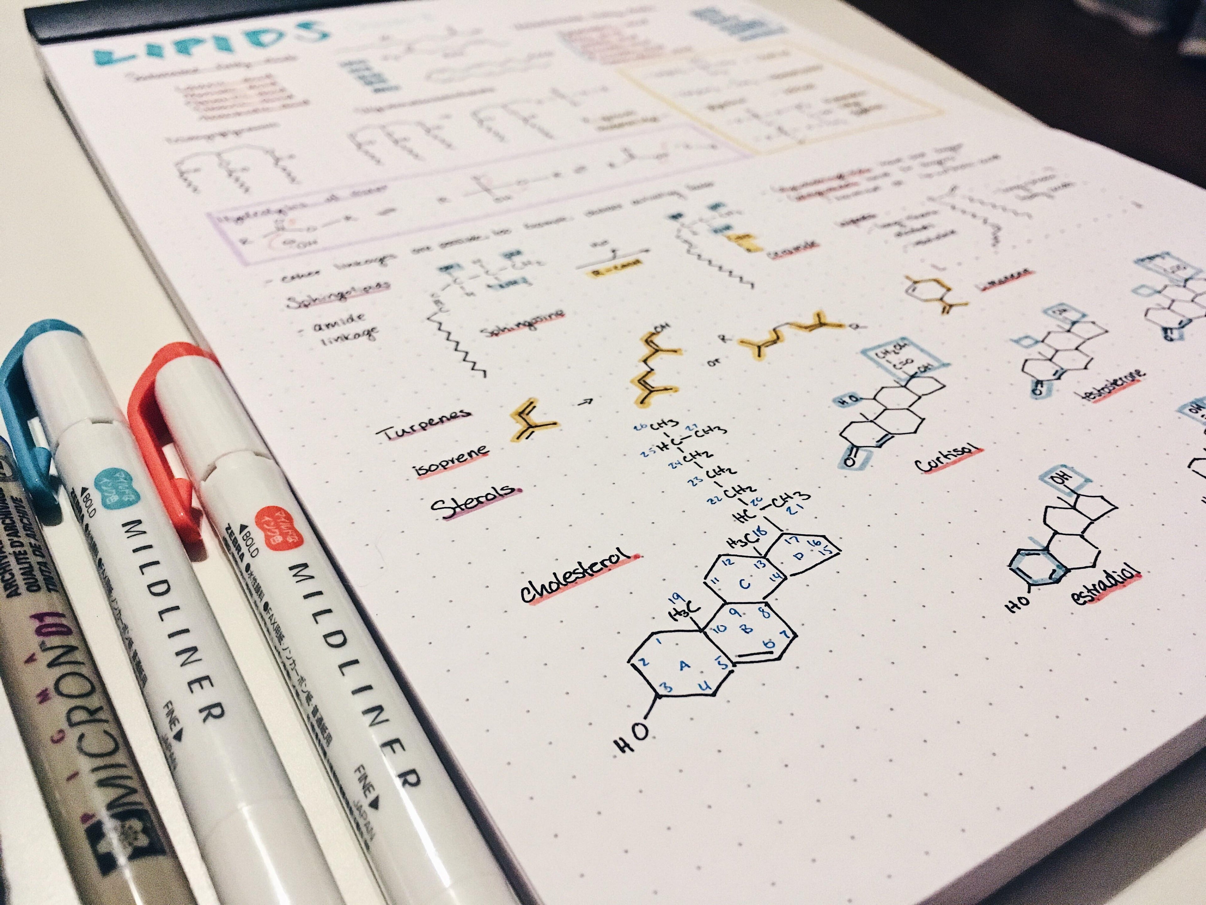 Digital-to-Paper Pen Plotter: Best Pen Plotters for Students